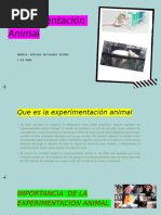 Experimentacionanimal 210604152242