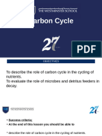 Carbon Cycle - 2023