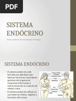 Sist Endocrino