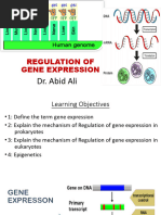 Regulation of Gene Expression