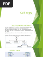 cellinjury-lecture2-210424064811