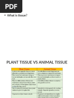 Plant Tissues