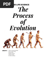 The Process of Evolution-- Group 5