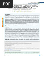 Effect of Tropaeolum Tuberosum Mashua (Tropaeolaceae) on Gene Expression Related to Spermatogenesis in Mouse