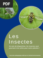 Mooc Insecte Ok