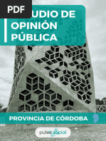 PULSO SOCIAL - Estudio de Opinion Cordoba (Noviembre)