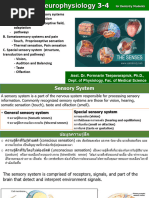 2567-2 Neuro 3-4 Dent พรนรินทร์