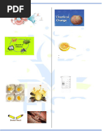 Science-Category-3-grades-7th-8th-SAMPLE-TEST