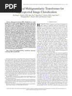 GlobalLocal Multigranularity Transformer for Hyperspectral Image Classification