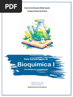 GUIA METODOLOGICA DE BIOQUÍMICA I AD 2024 F