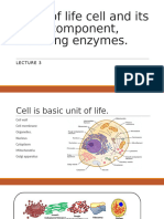 cell