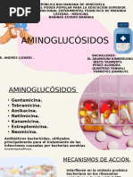 Aminoglucósidos Ultimas 20241124 154308 0000