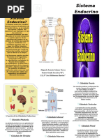 Presentación Del Sistema Endocrino