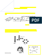 Bichemistry Notes KEY