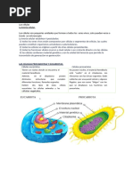 CUADERNILLO DE BIOLOGIA