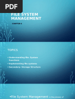 CHAPTER 6 File System Management