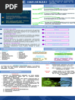 Infografia 2-Influenza