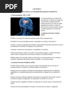 1ra Lectura Académica Neuropsicología cognitiva