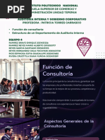 Funcion-de-Consultoria-en-Mexico.pptx