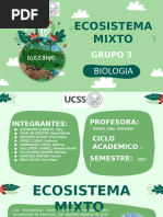 ecosistema mixto