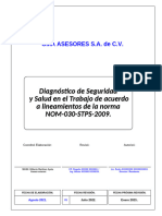 1. Portada Lineamientos NOM-030 EJEMPLO