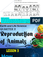 q2 Earth and Life Science Lesson 3