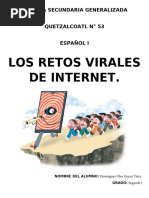 LOS RETOS VIRALES EN INTERNET