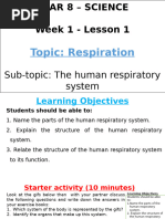 LG1 The human respiratory system