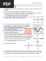 04_EBAU_Proteínas-ENZIMAS-Resumen