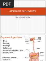 Practico de Digestivo i y II