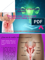 Cancer de Cuello Uterino o Matriz Oficial