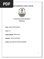 DNA extraxtion from strawberry class 12th project -1