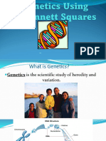 Punnett Square Codominance Incomplete Dominance and Multiple Alleles