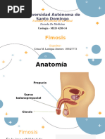 Fimosis