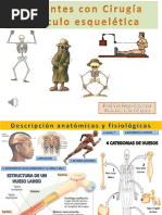 cirugia musculo esqueletica