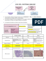 Parcial_ Preparados (1)