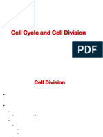 Cell cycle and Cell division