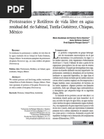 Lacandonia Año 4, vol. 4, núm. 1, junio de 2010 (arrastrado) 4