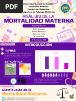 Grupo 4 Mortalidad Materna