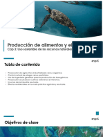 3.1. Produccion de Alimentos y el ambiente PAO II