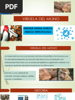 6.- VIRUELA DEL MONO