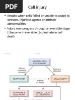 2 Cell Injury