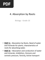 _Gr_10_Bio_Chapter_4_Absorption_by_Roots