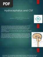 Hydrocephalus and CSF