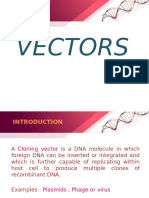 vectors