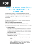 CÓMO OBTIENEN ENERGÍA LAS CÉLULAS A PARTIR DE LOS ALIMENTOS