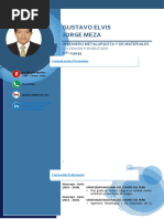 Cv Jorge Meza, Gustavo