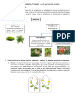 Reproducción de las plantas con flores