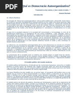 Qué es Democracia Autoorganizativa