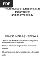 Neuromuscular Junction